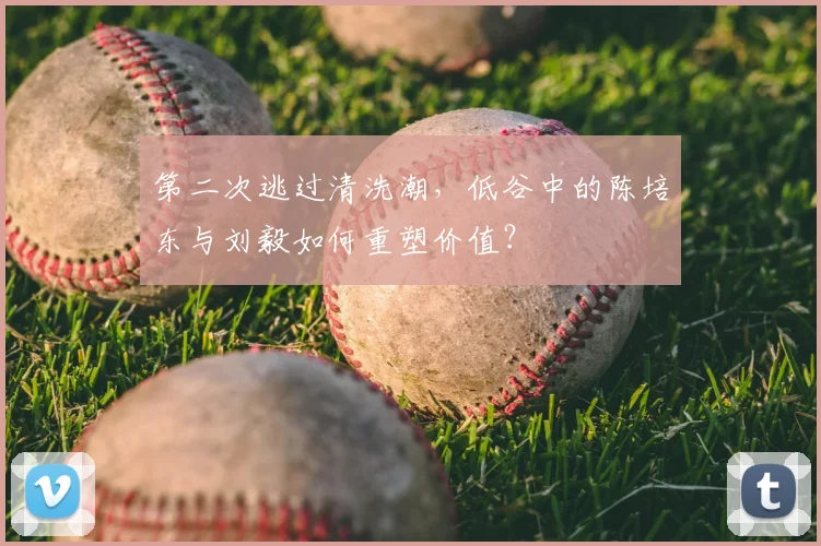 第二次逃过清洗潮，低谷中的陈培东与刘毅如何重塑价值？