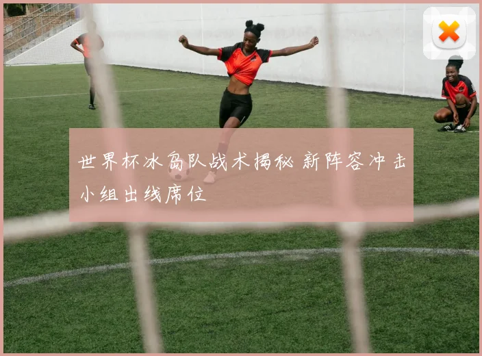 世界杯冰岛队战术揭秘 新阵容冲击小组出线席位