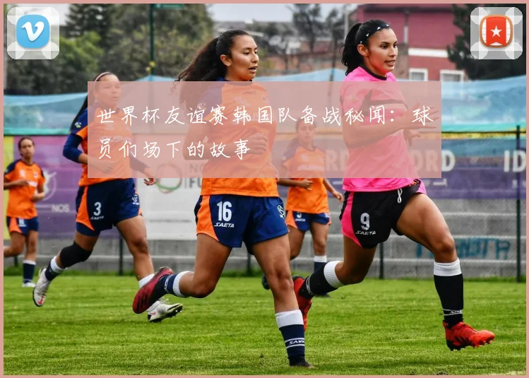 世界杯友谊赛韩国队备战秘闻:球员们场下的故事