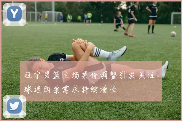 辽宁男篮主场票价调整引发关注,球迷购票需求持续增长