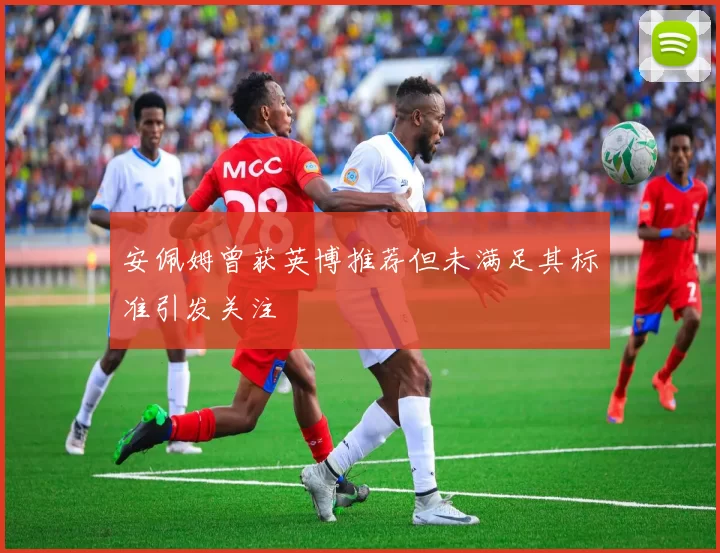 安佩姆曾获英博推荐但未满足其标准引发关注