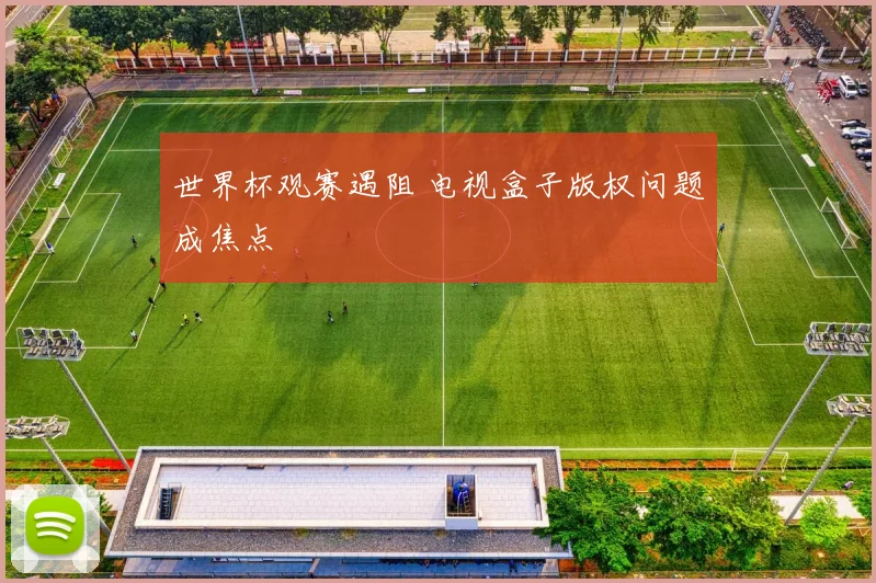 世界杯观赛遇阻 电视盒子版权问题成焦点