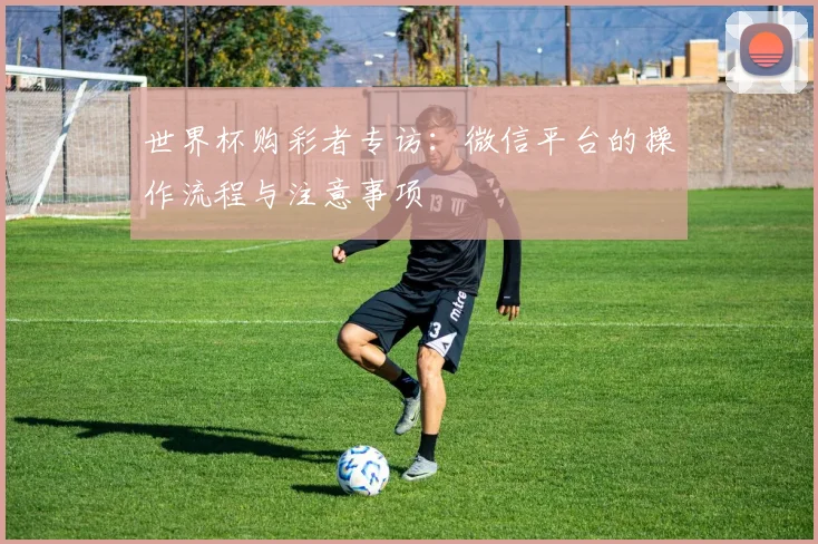 世界杯购彩者专访:微信平台的操作流程与注意事项
