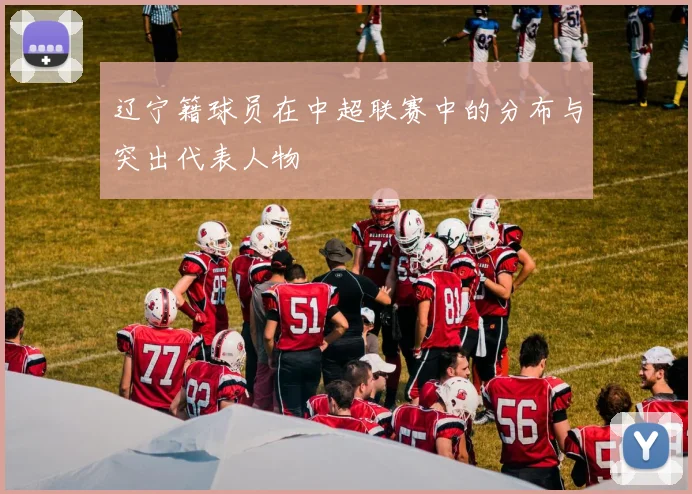 辽宁籍球员在中超联赛中的分布与突出代表人物