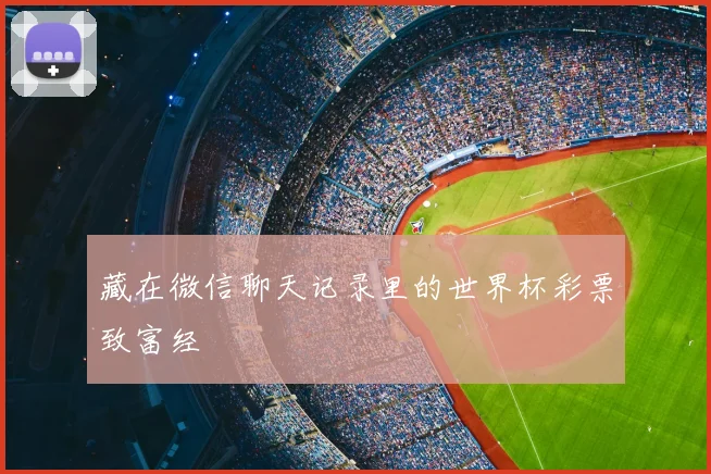 藏在微信聊天记录里的世界杯彩票致富经