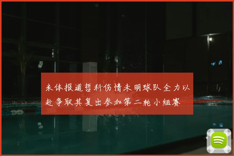 米体报道哲科伤情未明球队全力以赴争取其复出参加第二轮小组赛
