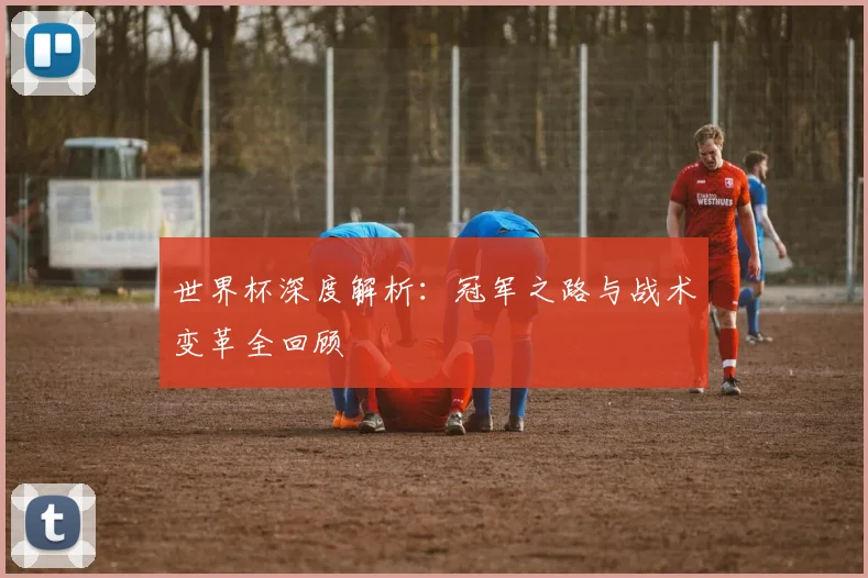 世界杯深度解析:冠军之路与战术变革全回顾