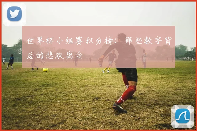 世界杯小组赛积分榜:那些数字背后的悲欢离合