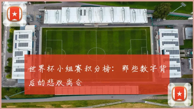 世界杯小组赛积分榜：那些数字背后的悲欢离合