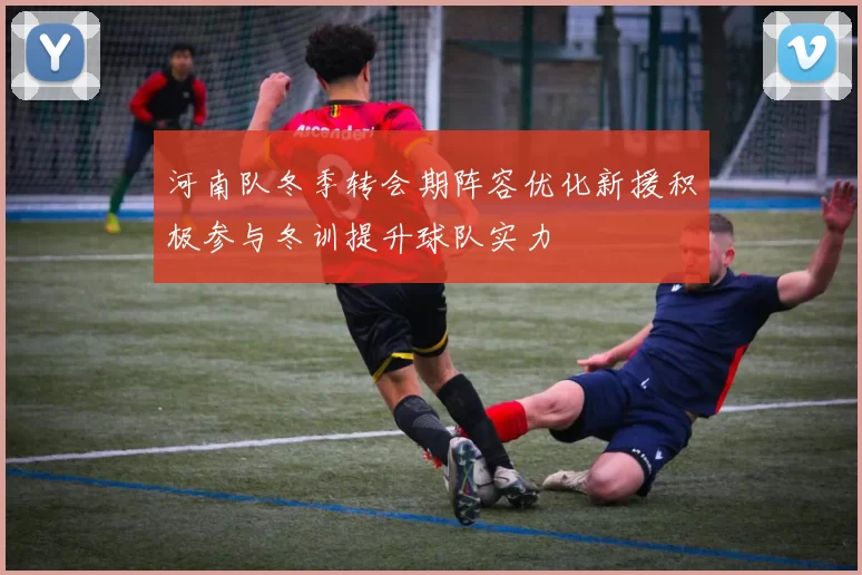 河南队冬季转会期阵容优化新援积极参与冬训提升球队实力