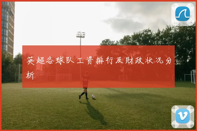 英超各球队工资排行及财政状况分析