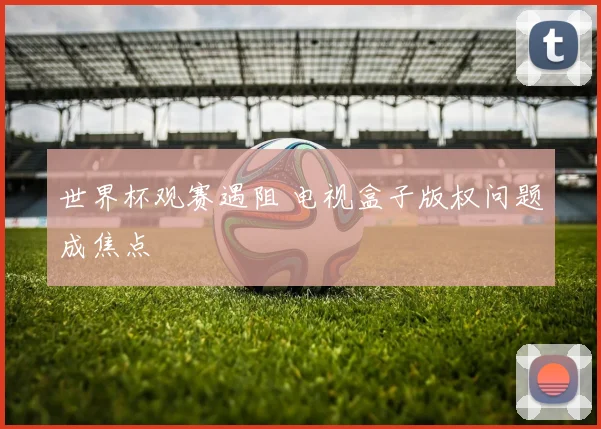 世界杯观赛遇阻 电视盒子版权问题成焦点