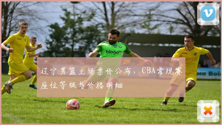 辽宁男篮主场票价公布,CBA常规赛座位等级与价格明细