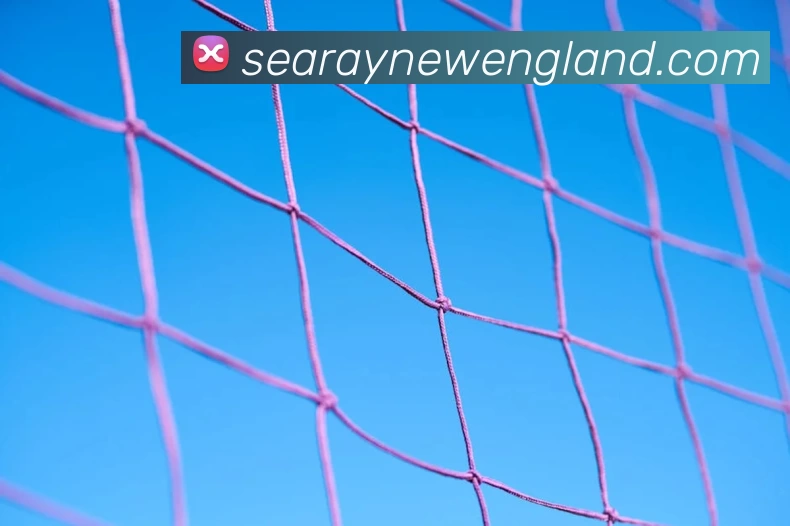 华体会手机网页版发展历程