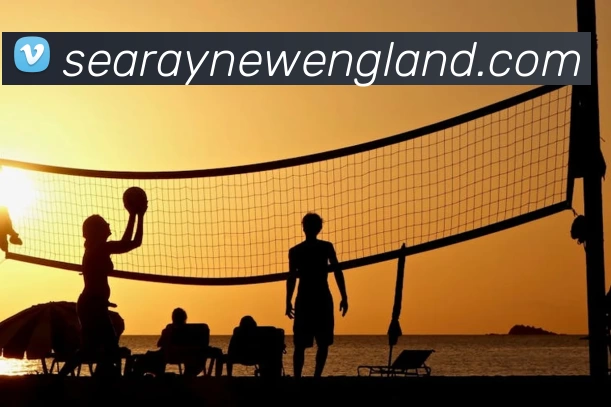 App Interface Preview