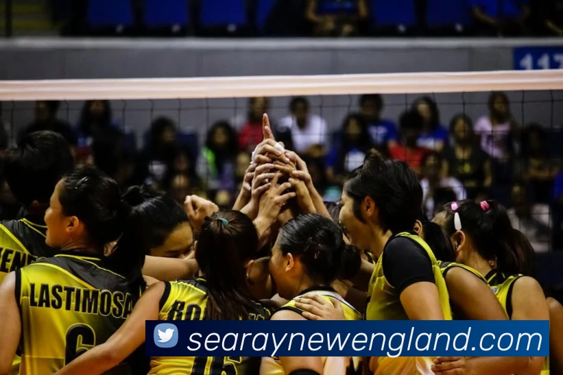 华体会手机网页版APP 封面图